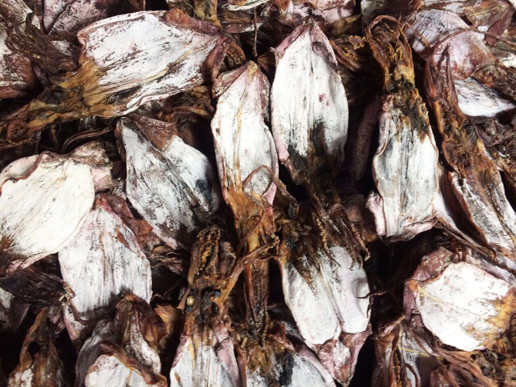 Dried Black Squid Skin O